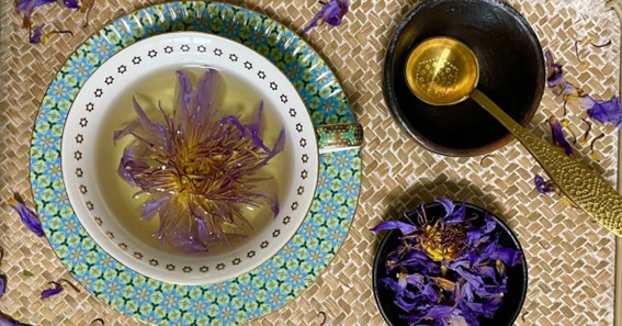 how to make blue lotus tea